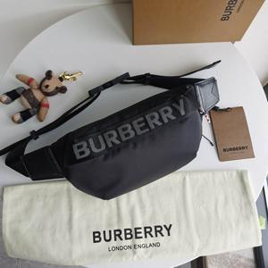 Burberry Handbags 200